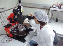 סטודנטית מבצעת ניסוי בעזרת מיקרוסקופ, בחדר נקי